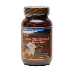 Sheep Stem Cell